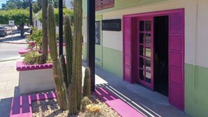 Un edificio con fachada verde y rosa, una pérgola de madera y un jardín de cactus.