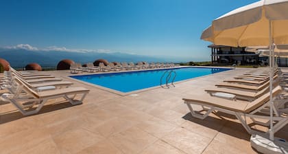 Hotel Qvevrebi