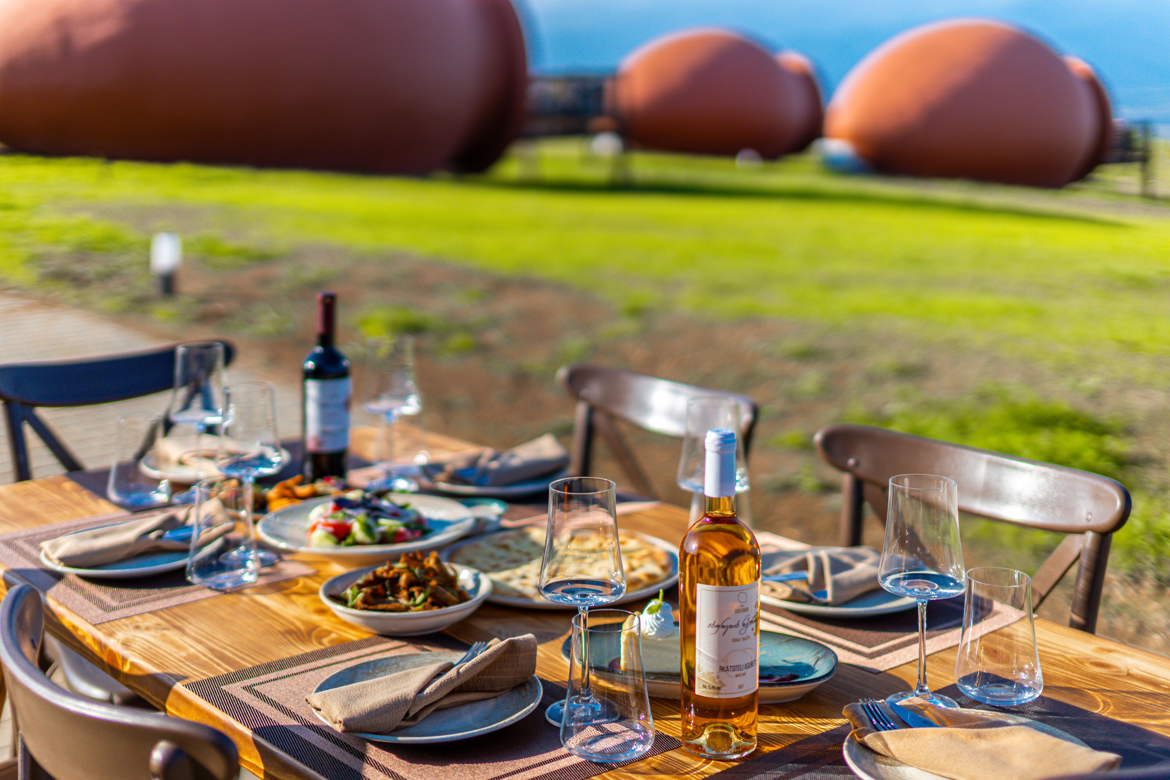 A table set for a meal with plates, glasses, and a bottle of wine, overlooking a grassy area with large spherical structures in the background.