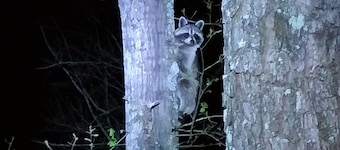 Hairy Hiker Woods -Full Hookup RV sites-Pet Friendly! Legend Lane