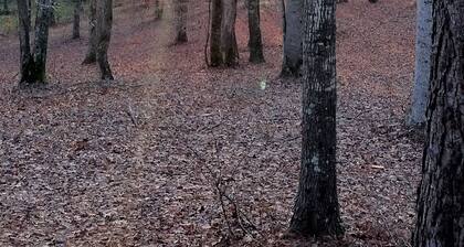 Hairy Hiker Woods -Full Hookup RV sites-Pet Friendly! Legend Lane