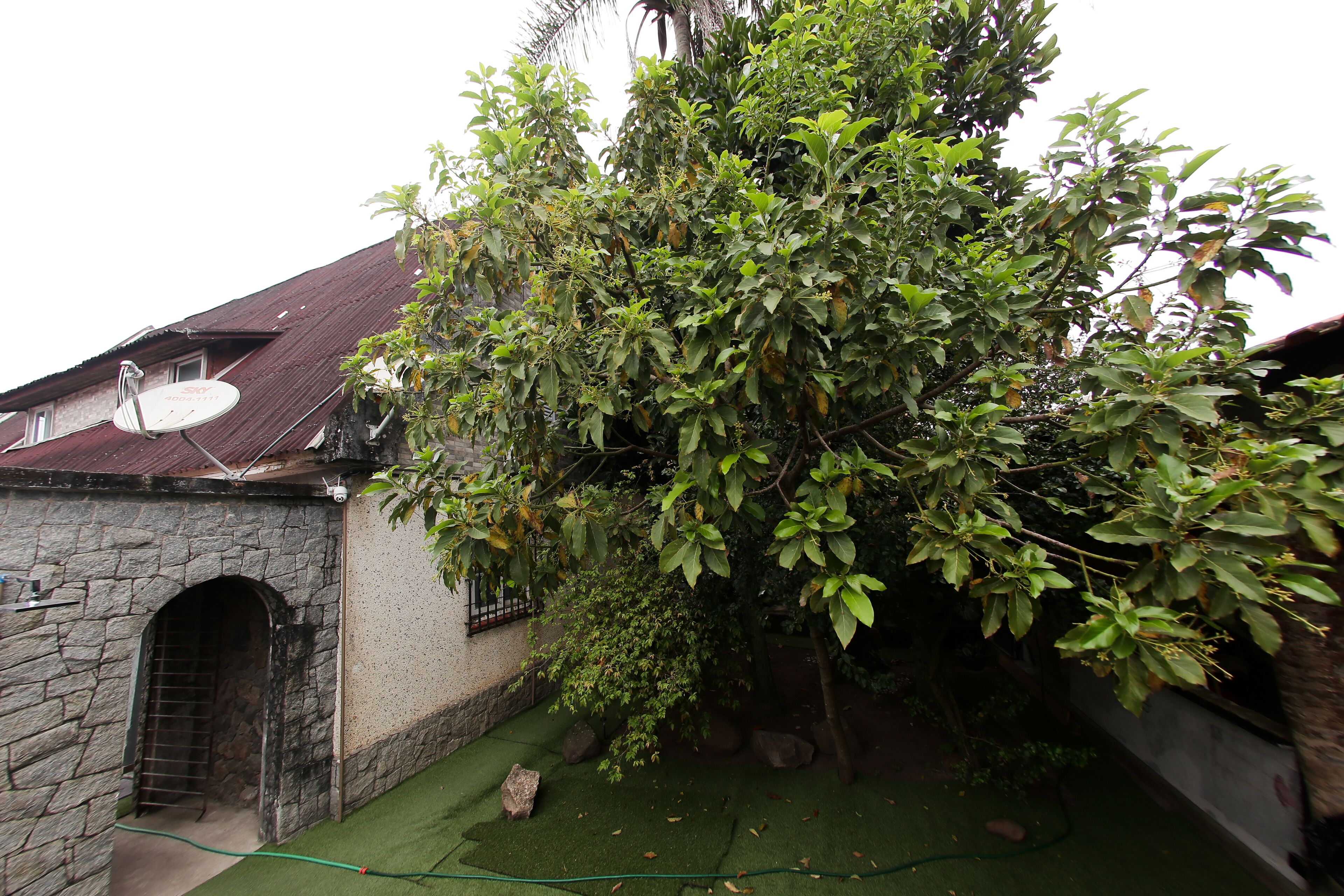 Jardim