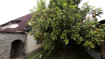 Jardim
