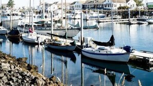A marina with multiple boats docked, calm water, and buildings in the background. - The Bishop Hotel (Port Townsend)