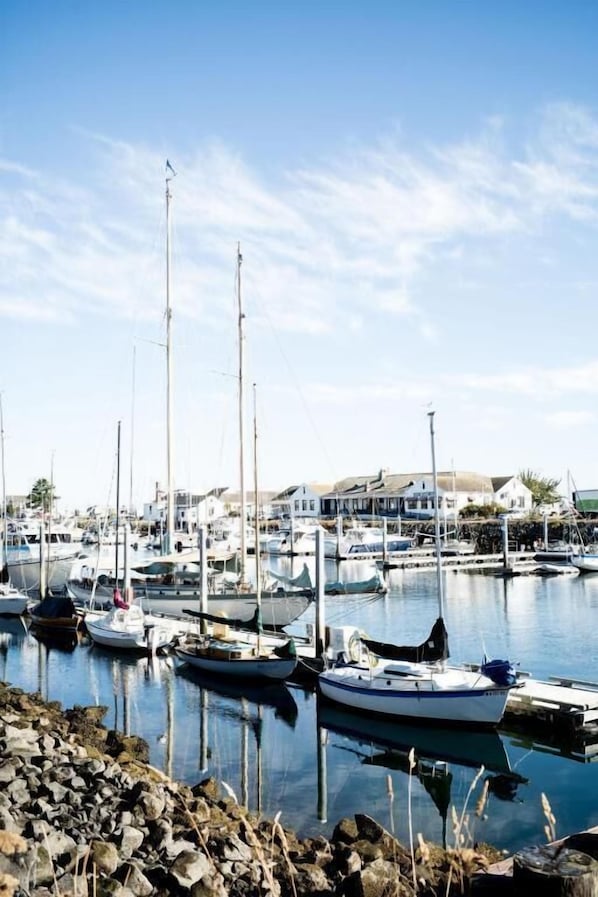 Marina