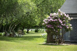 Executive-Zimmer, Terrasse (Pet Friendly)
