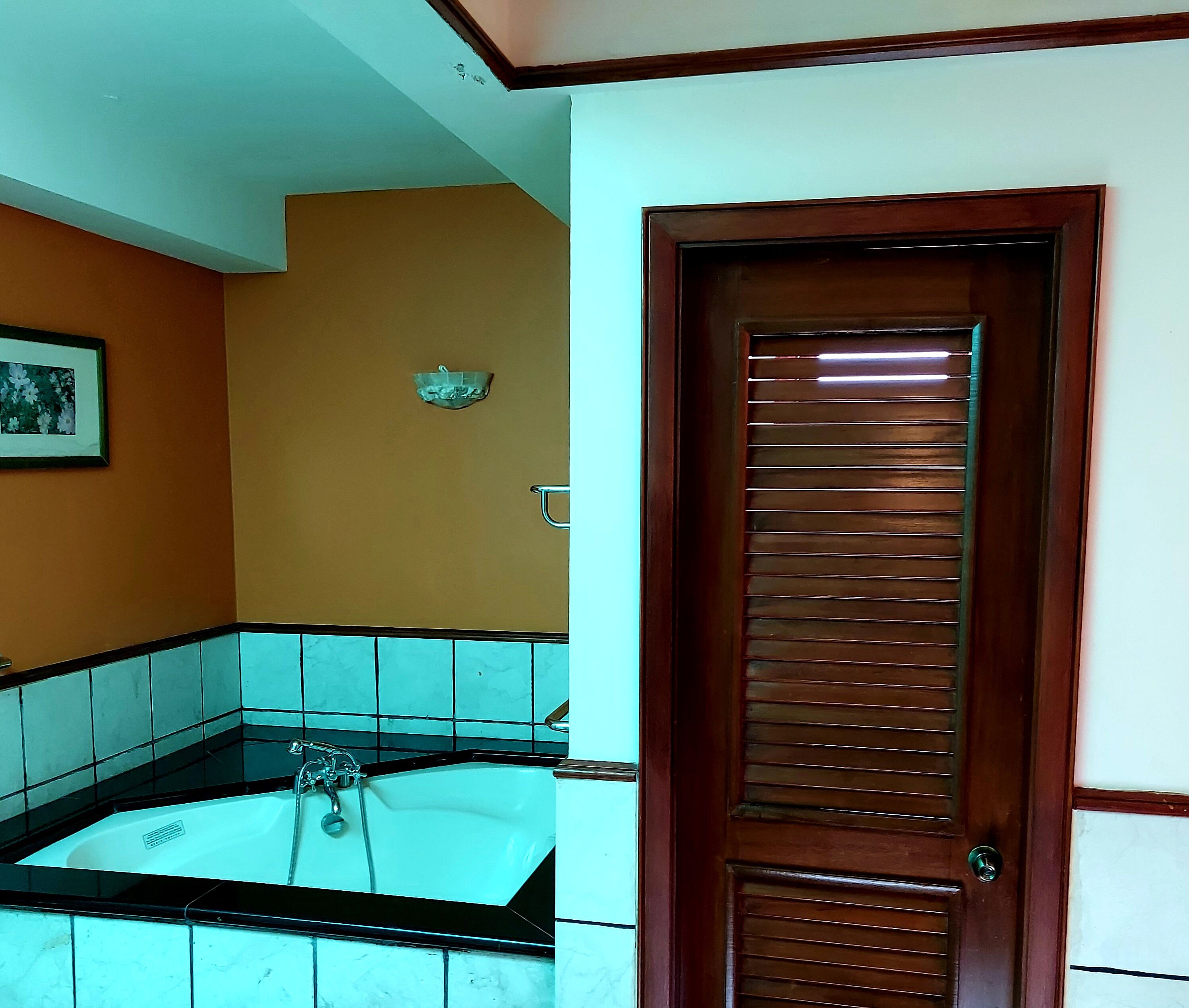 Une salle de bain équipée d’une baignoire, d’un lavabo et d’une porte ornée d’un panneau en bois.