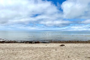 Beach - Ocean Edge Resort ground-floor condo with access to pools, hot tub, & tennis (Brewster)