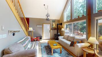 TV, fireplace, books