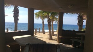 A beachside room with a view of the ocean, palm trees, and a wooden bench.