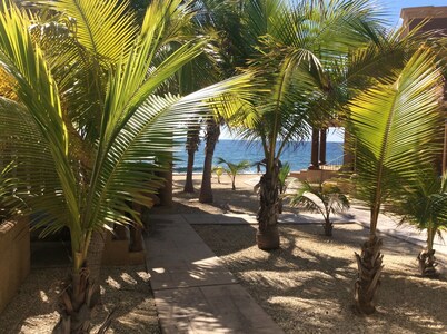 Ocean view from every room ,quiet neighborhood family friendly.Bluff view 