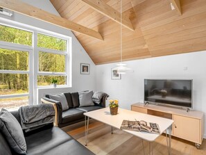 TV, fireplace, DVD player