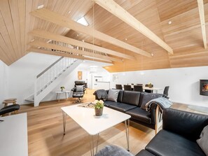 TV, fireplace, DVD player
