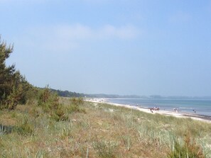 Playa