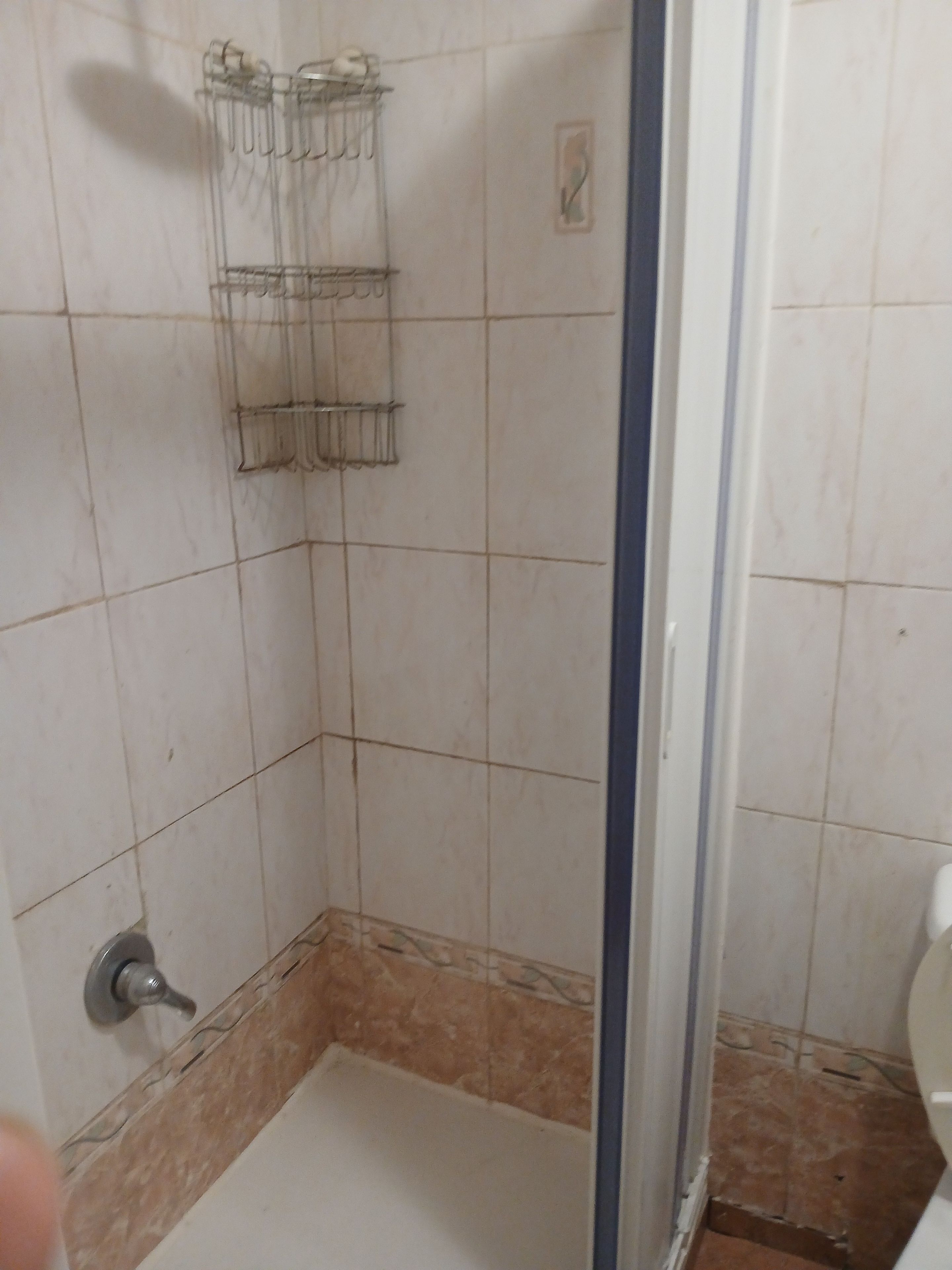 A bathroom with a shower area, a toilet, and a towel rack.