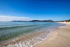 Ein Strand mit klarem Wasser, sandigem Ufer und sanften Hügeln im Hintergrund.