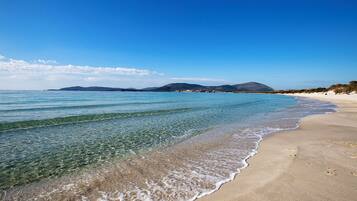 Playa en los alrededores