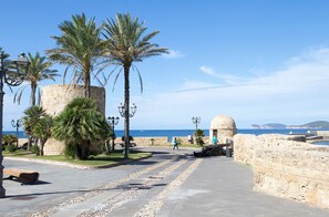Un paseo marítimo con palmeras, un muro de piedra y una estructura en forma de cúpula.
