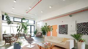 A spacious living room with a large window, a checkered sofa, a glass coffee table, and several potted plants.