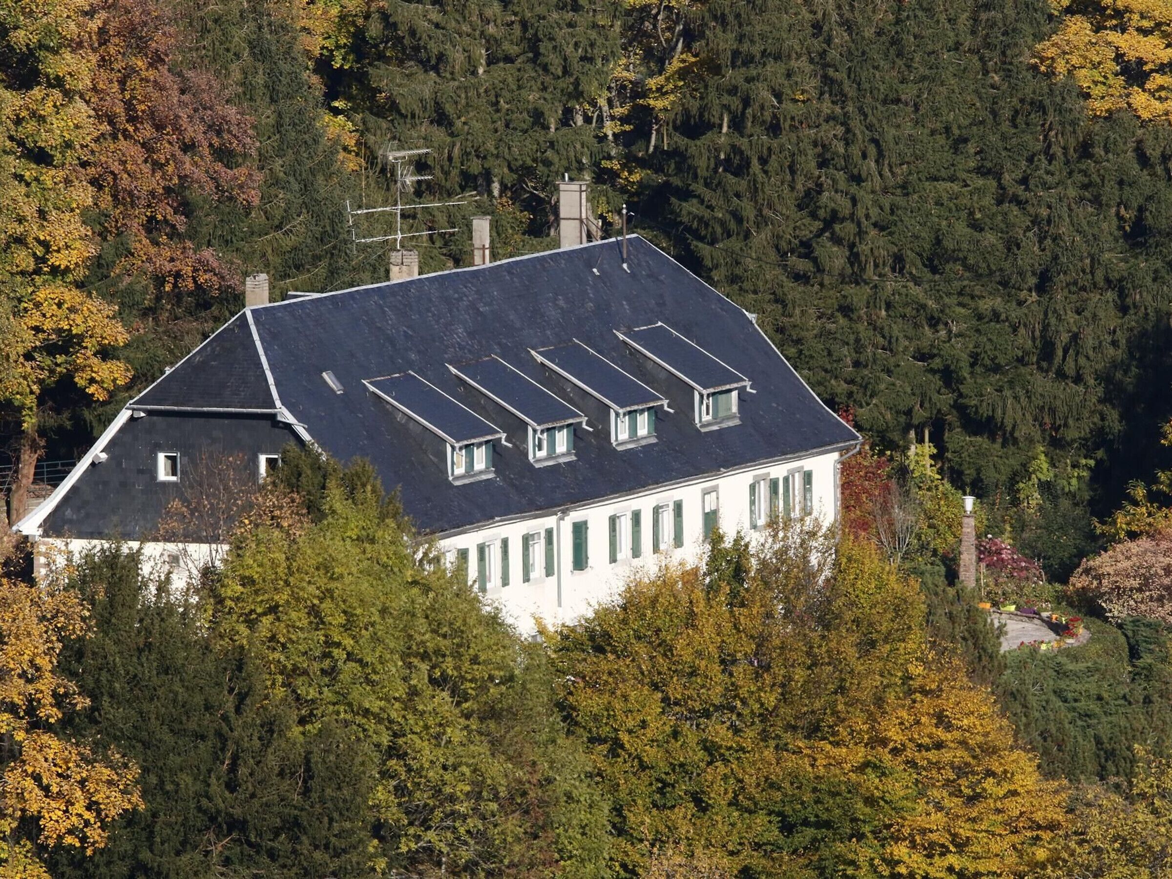 Un'ampia casa circondata da un fitto bosco, con numerosi lucernari.