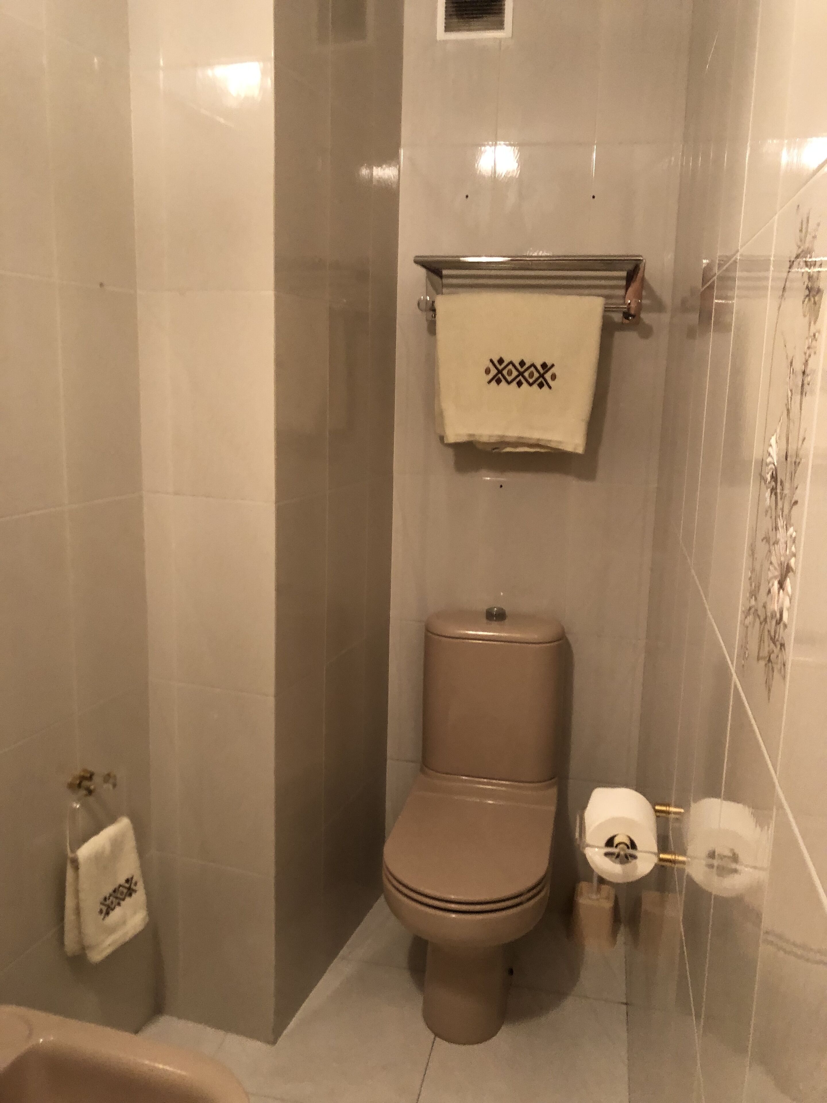 Ein Badezimmer mit Toilette, Dusche und Handtuchhalter.