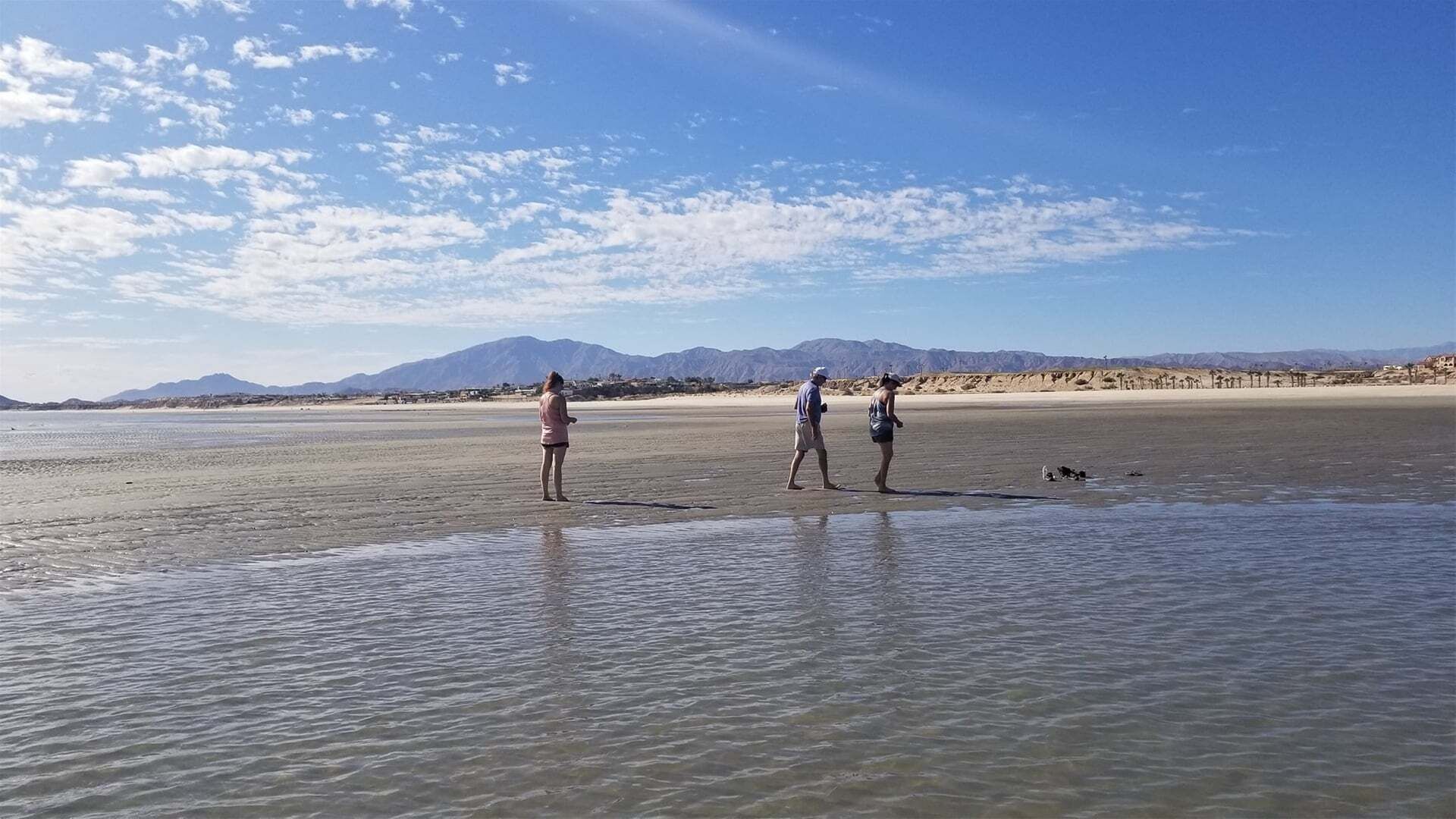 Beach