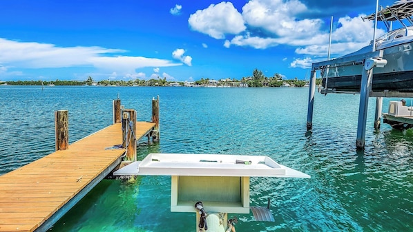 Unclassified image, 1 of 37, button