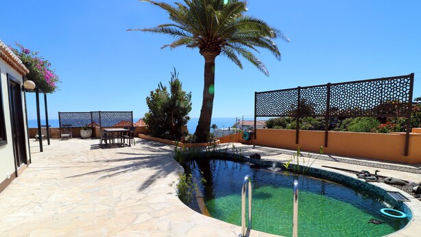 Ein Pool mit einer Palme, Sitzgelegenheiten im Freien und Blick aufs Meer.