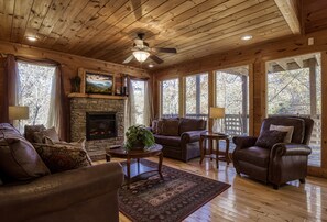 Tv, eldstad, tv-spel och dvd-spelare