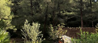 Villa Dans la Pinède Proche Plages et Criques