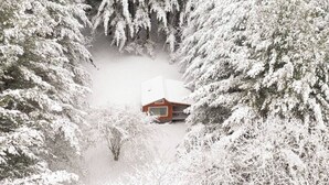 A cabin surrounded by snow-covered trees.