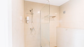 Deluxe Room | Bathroom | Shower, hydromassage showerhead, towels, toilet paper - Temselaan 6 (Grimbergen)