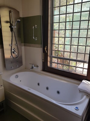 Hair dryer, bidet, towels, soap