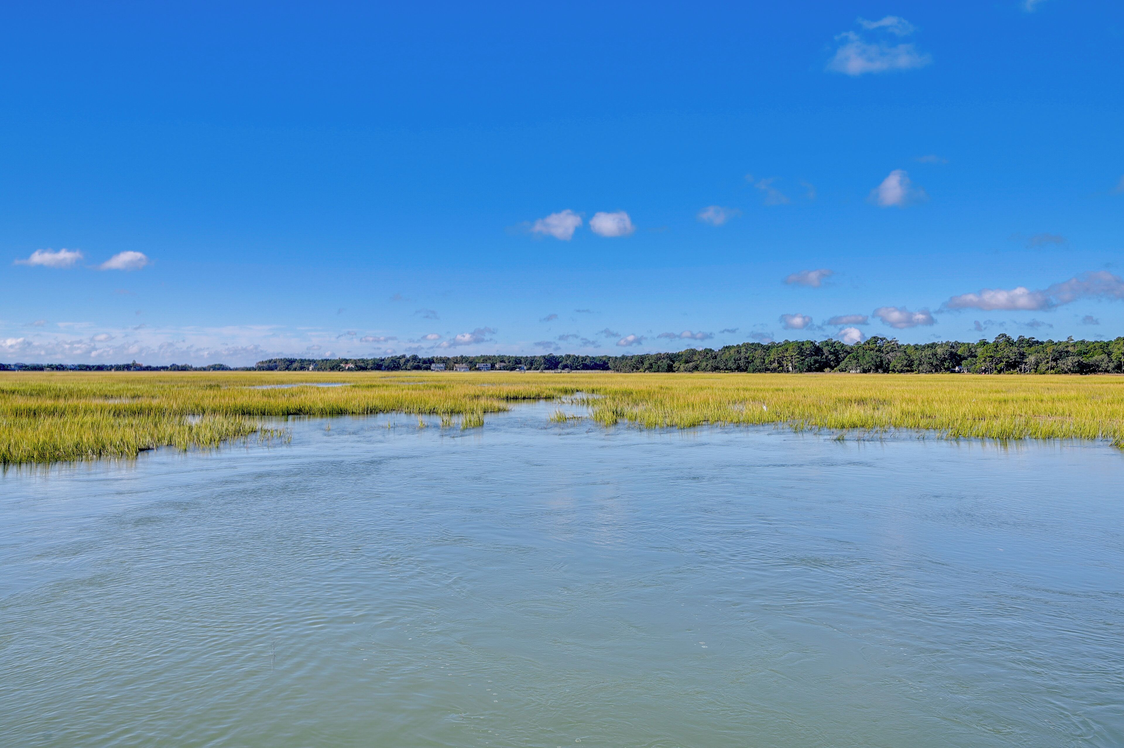 A wide view of a water body with surrounding greenery and a clear sky.