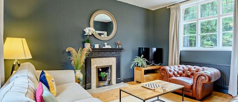 TV, fireplace