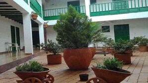 A courtyard with potted plants and a large central tree. - Hotel Esquina Colonial (Villa de Leyva)