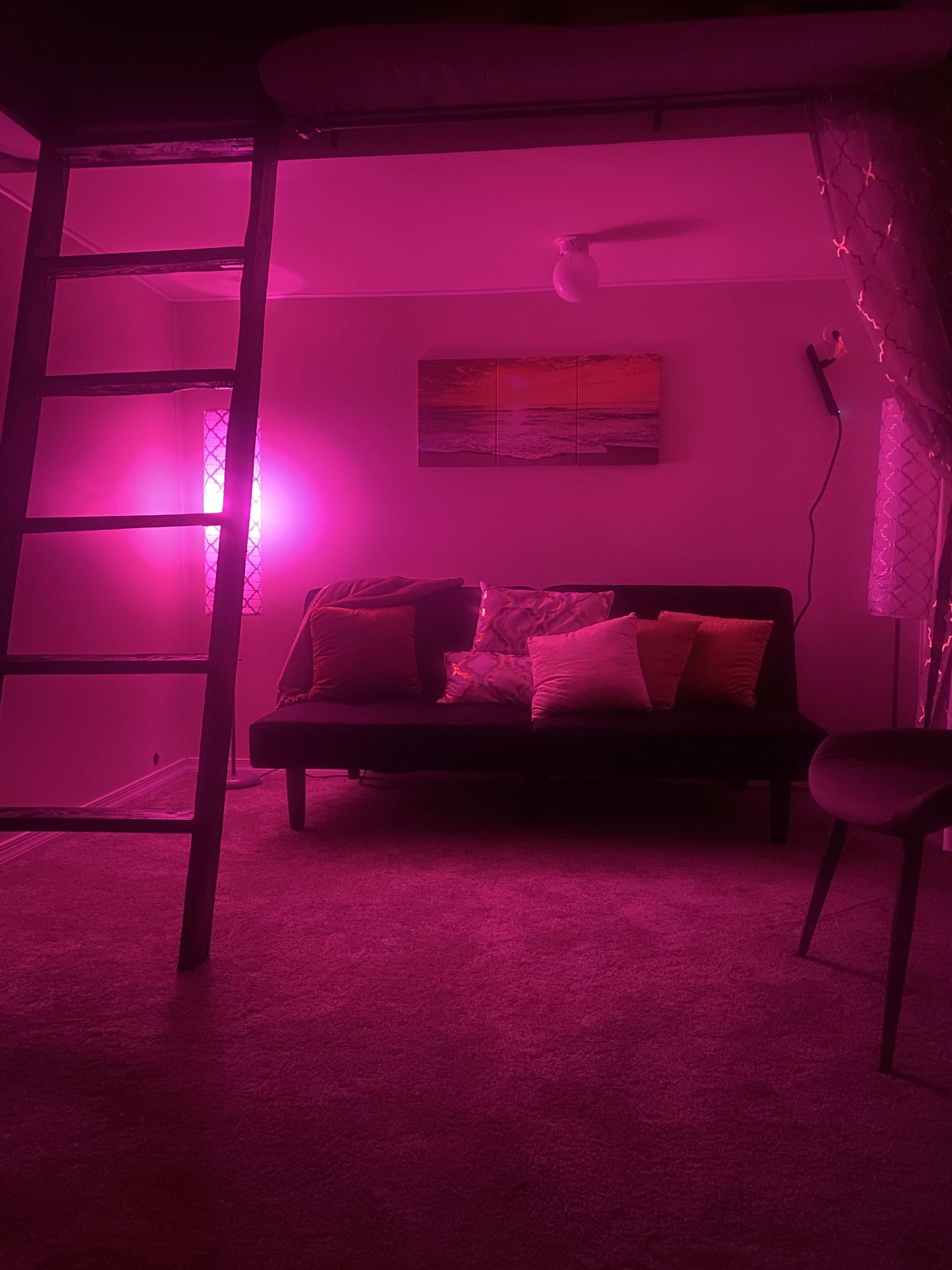 Smart-TV, Computerbildschirme