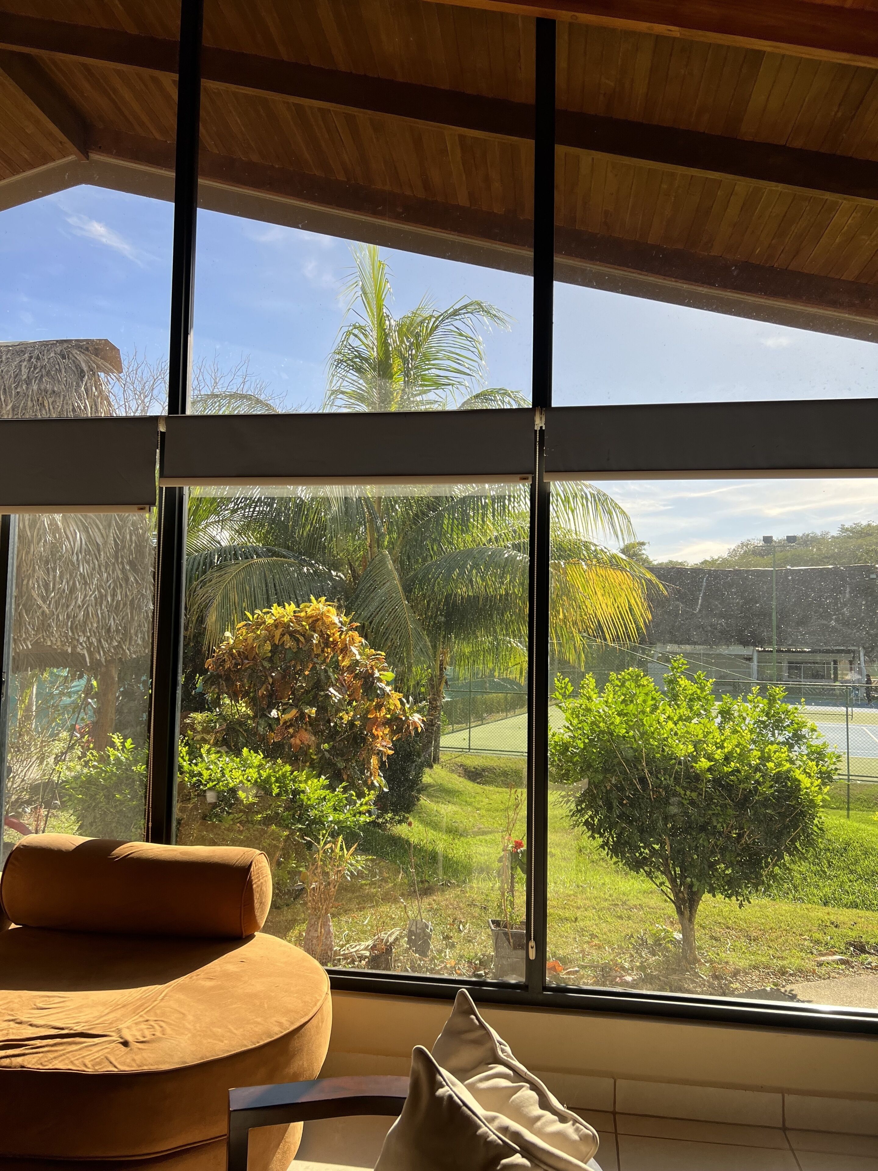 A room with a large window, a round brown sofa, and a view of greenery and a fence outside.
