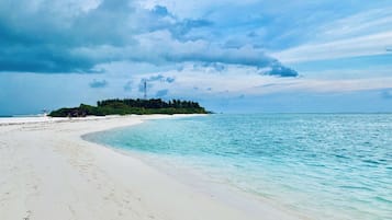 Trên bãi biển, cát trắng, ghế dài tắm nắng, dù trên bãi biển