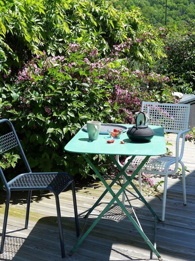 Maison à la Montagne Avec la vue sur le Montcalm Avec son Jardin Clôturé