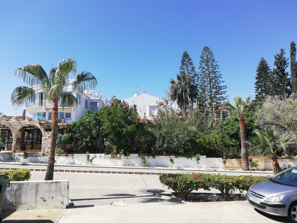 Área da propriedade