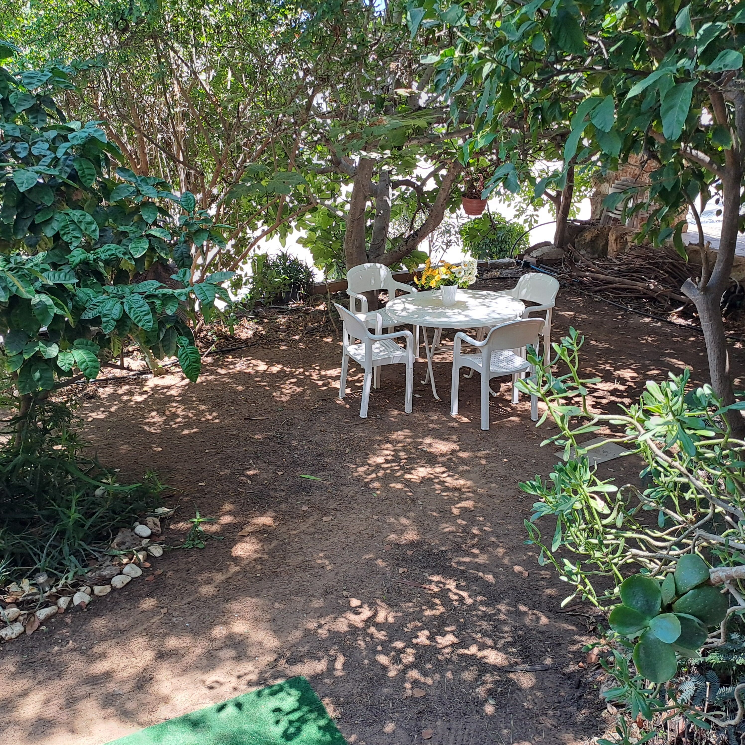 Un espace extérieur aménagé avec une table et des chaises, entouré de verdure et d’arbres.