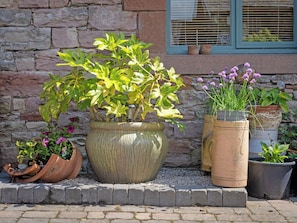 A stone wall with a window, potted plants, and a brick border.
