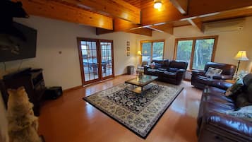 TV, fireplace, video games, DVD player
