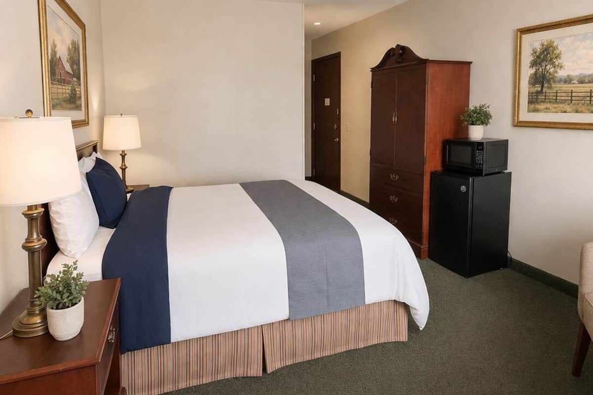 Economy Room, 1 King Bed, Non Smoking | Desk, laptop workspace, WiFi (free), individually furnished