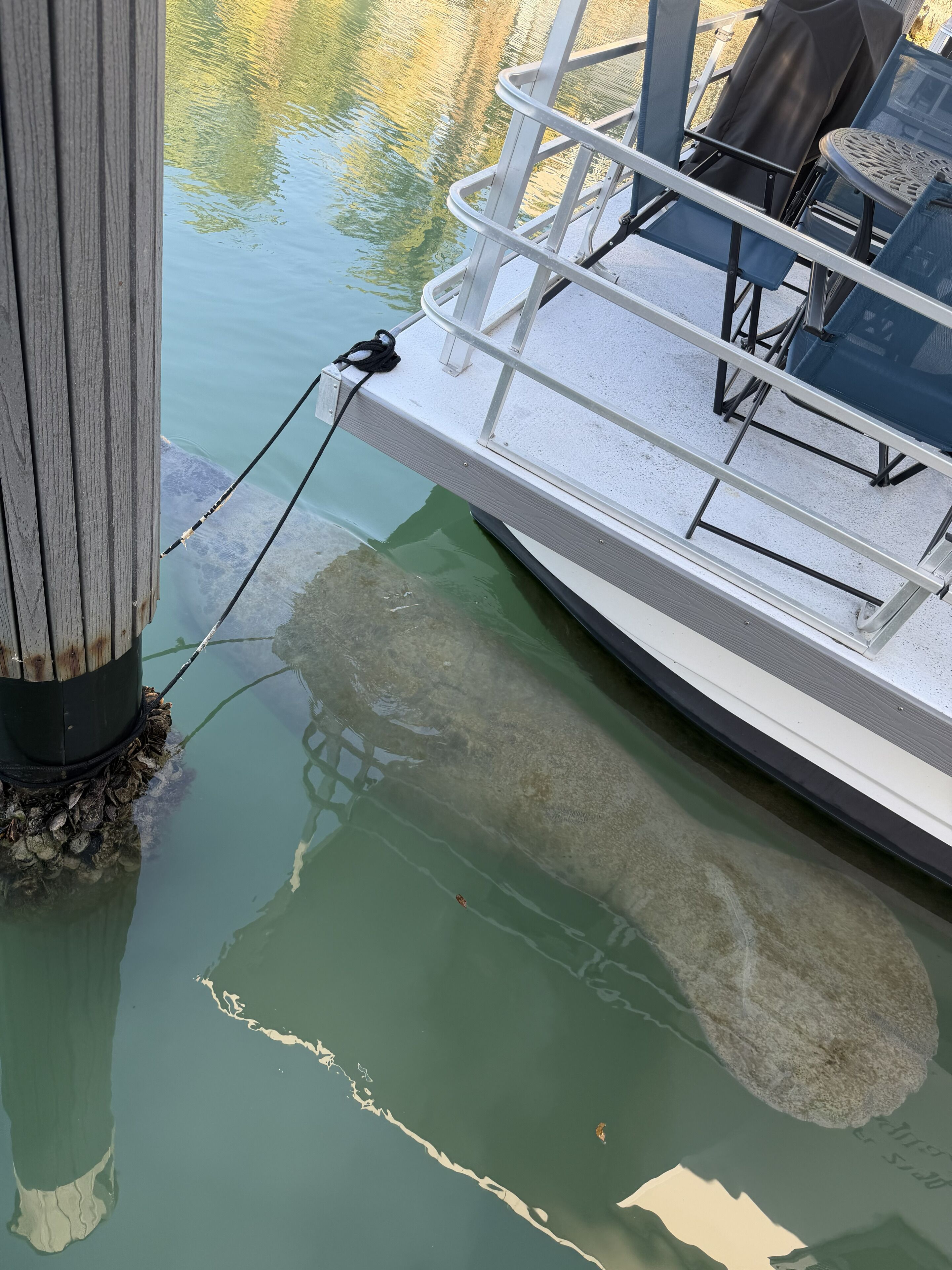 A boat docked at a pier with a railing and chairs.