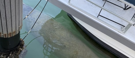 Un bateau était amarré à un quai, muni d’une rambarde et de chaises.