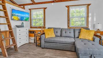 Een 42-inch smart-tv met digitale zenders, Netflix en Hulu