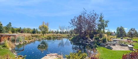 A pond with surrounding rocks and plants, a wooden structure, and a grassy area with a clear sky.