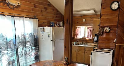 Cozy 2 bedroom cabin on a 20 acre lake